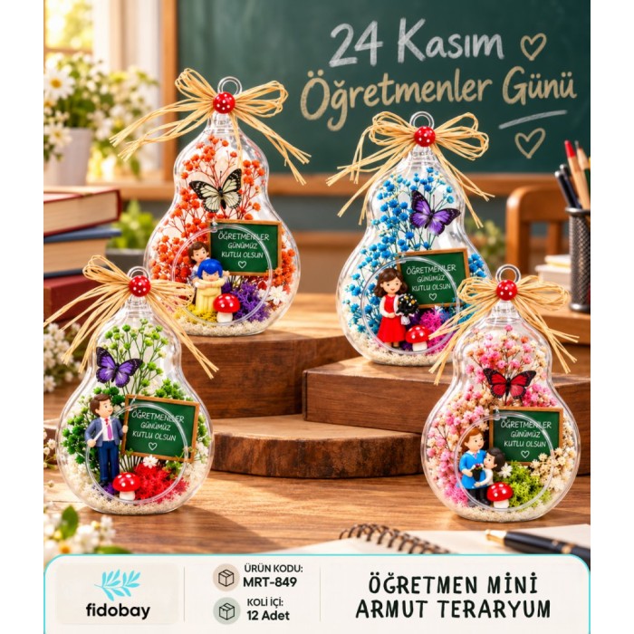 Öğretmen Mini Armut Teraryum