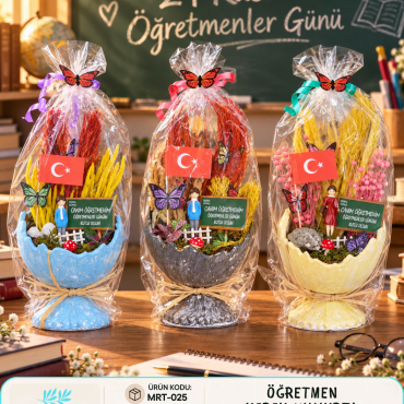 MRT-025 - ÖĞRETMEN KIRIK YUMURTA TERARYUM