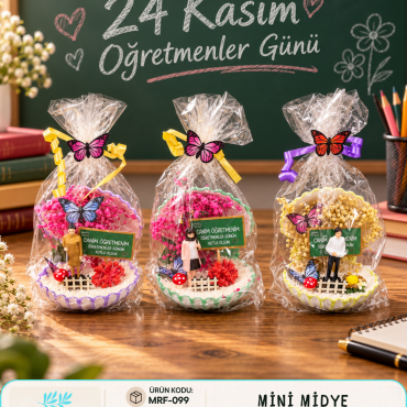MRT-099 - MİNİ MİDYE TERARYUM