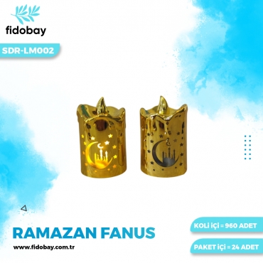 SDR-LM002 - RAMAZAN FANUS