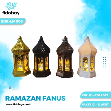 SDR-LM003 - RAMAZAN FANUS