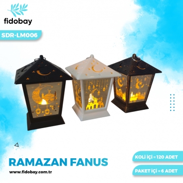 SDR-LM006 - RAMAZAN FANUS