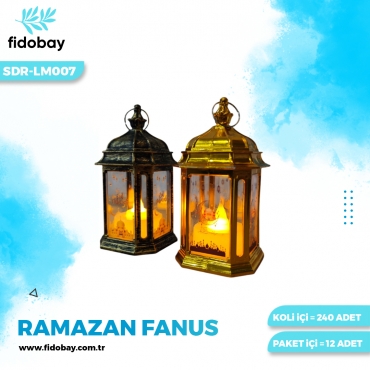 SDR-LM007 - RAMAZAN FANUS