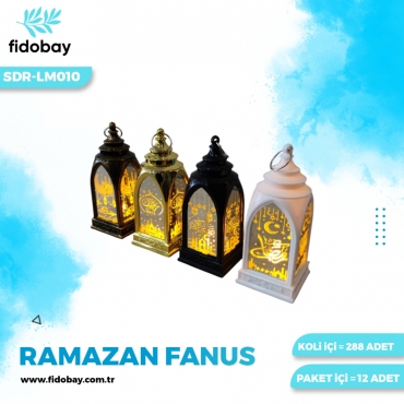 SDR-LM010 - RAMAZAN FANUS