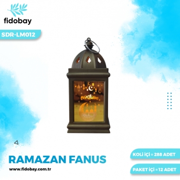 SDR-LM012 - RAMAZAN FANUS