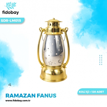 SDR-LM015 - RAMAZAN FANUS