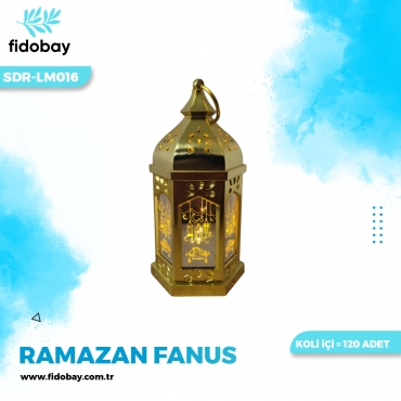SDR-LM016 - RAMAZAN FANUS