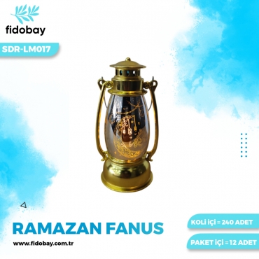 SDR-LM017 - RAMAZAN FANUS