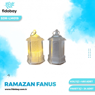SDR-LM019 - RAMAZAN FANUS