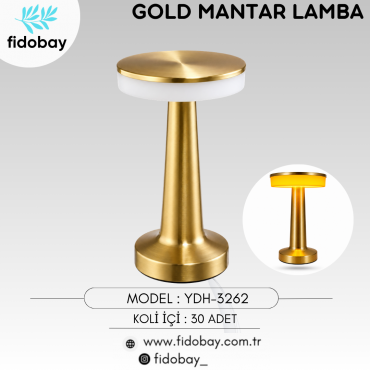 YDH-3262 - GOLD MANTAR LAMBA
